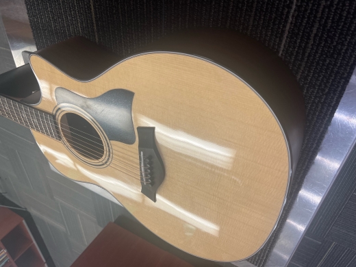 Store Special Product - Taylor 314